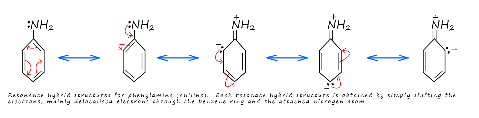 model showing the  five resonance hybrid structures for aniline